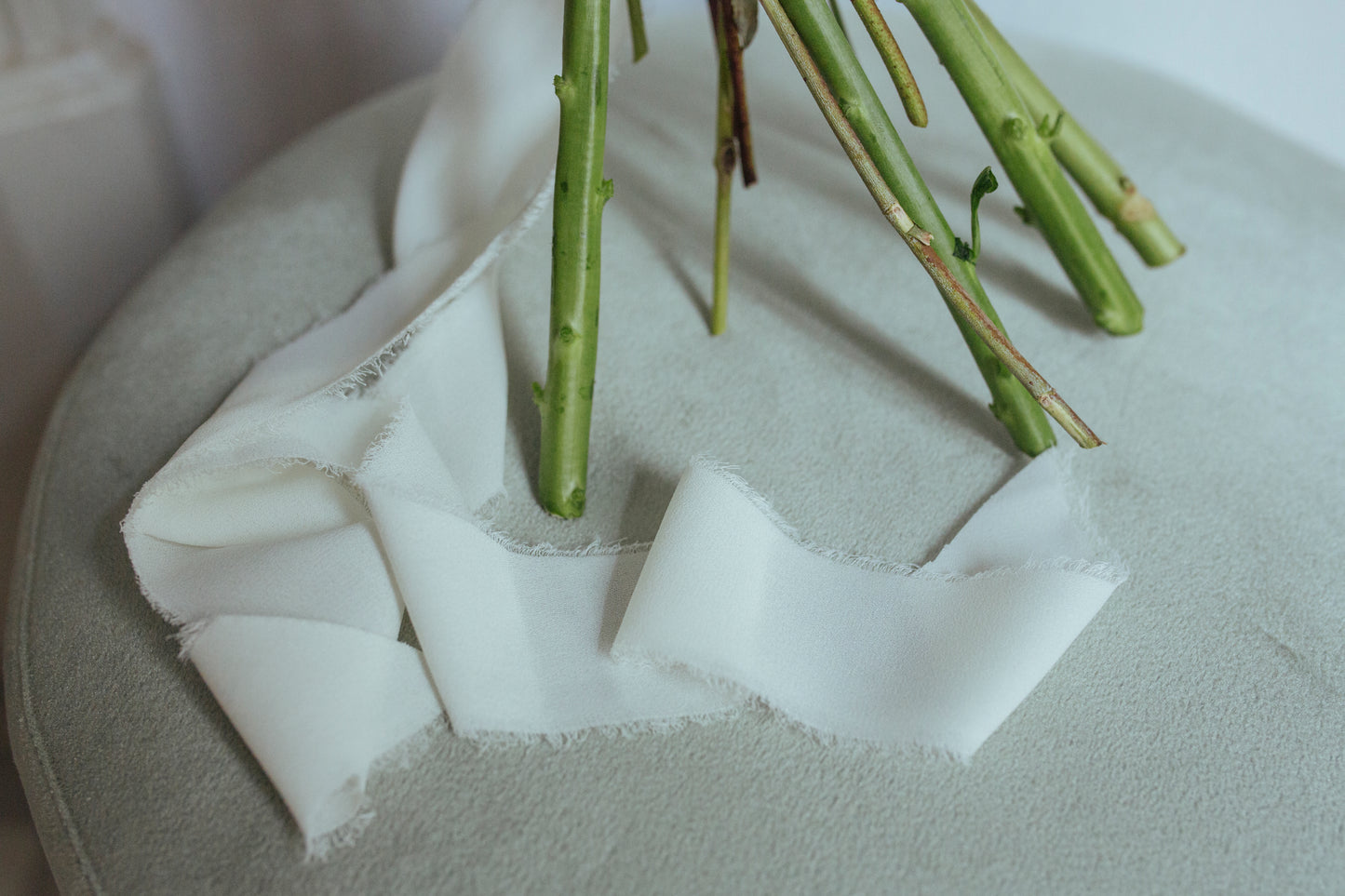 Cinta para ramo | Gasa Blanca-blanco, cintas de gasa, cintas para ramo-Loovshoes