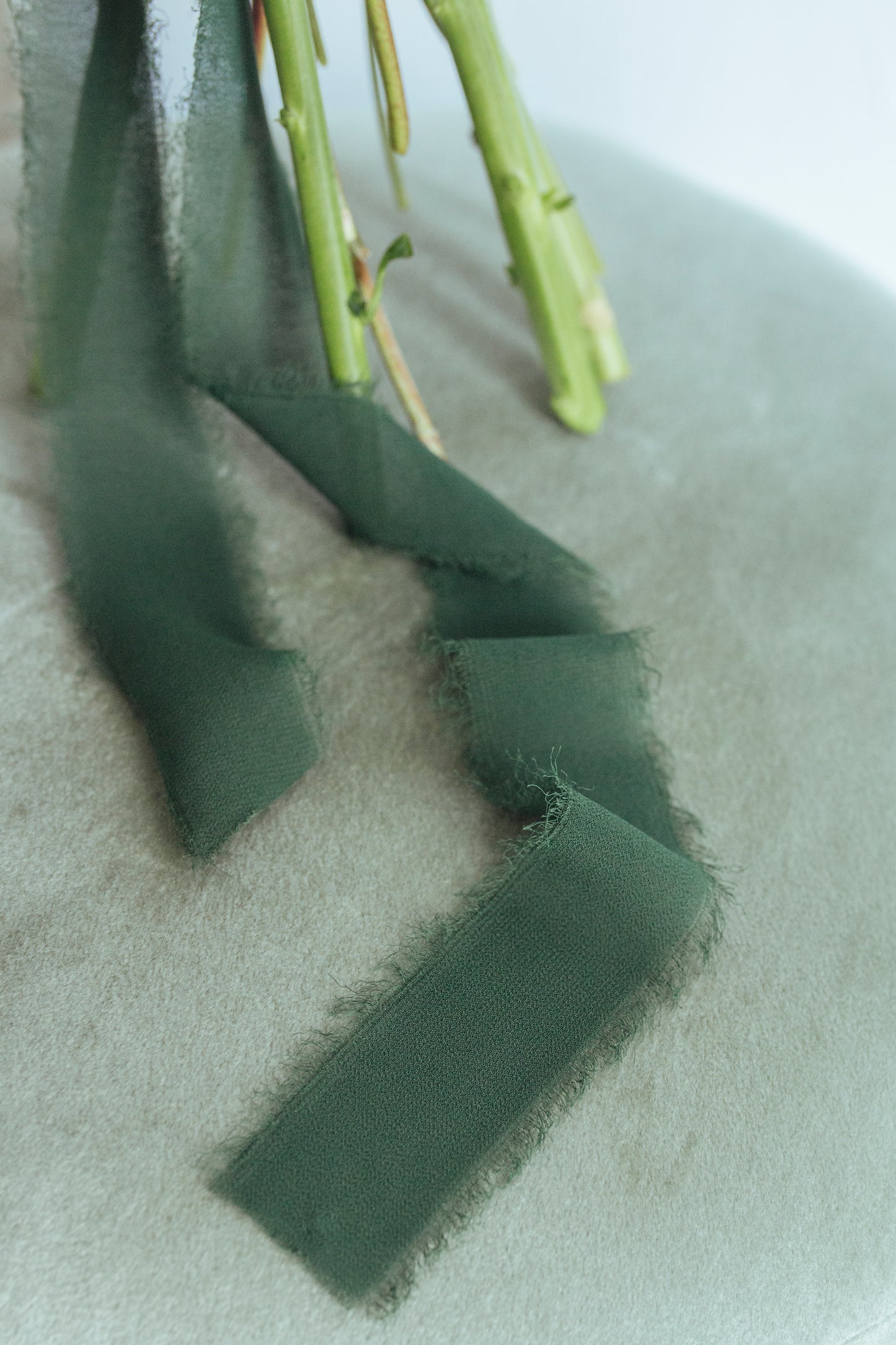 Cinta para ramo | Gasa verde-cintas de gasa, cintas para ramo, verde-Loovshoes