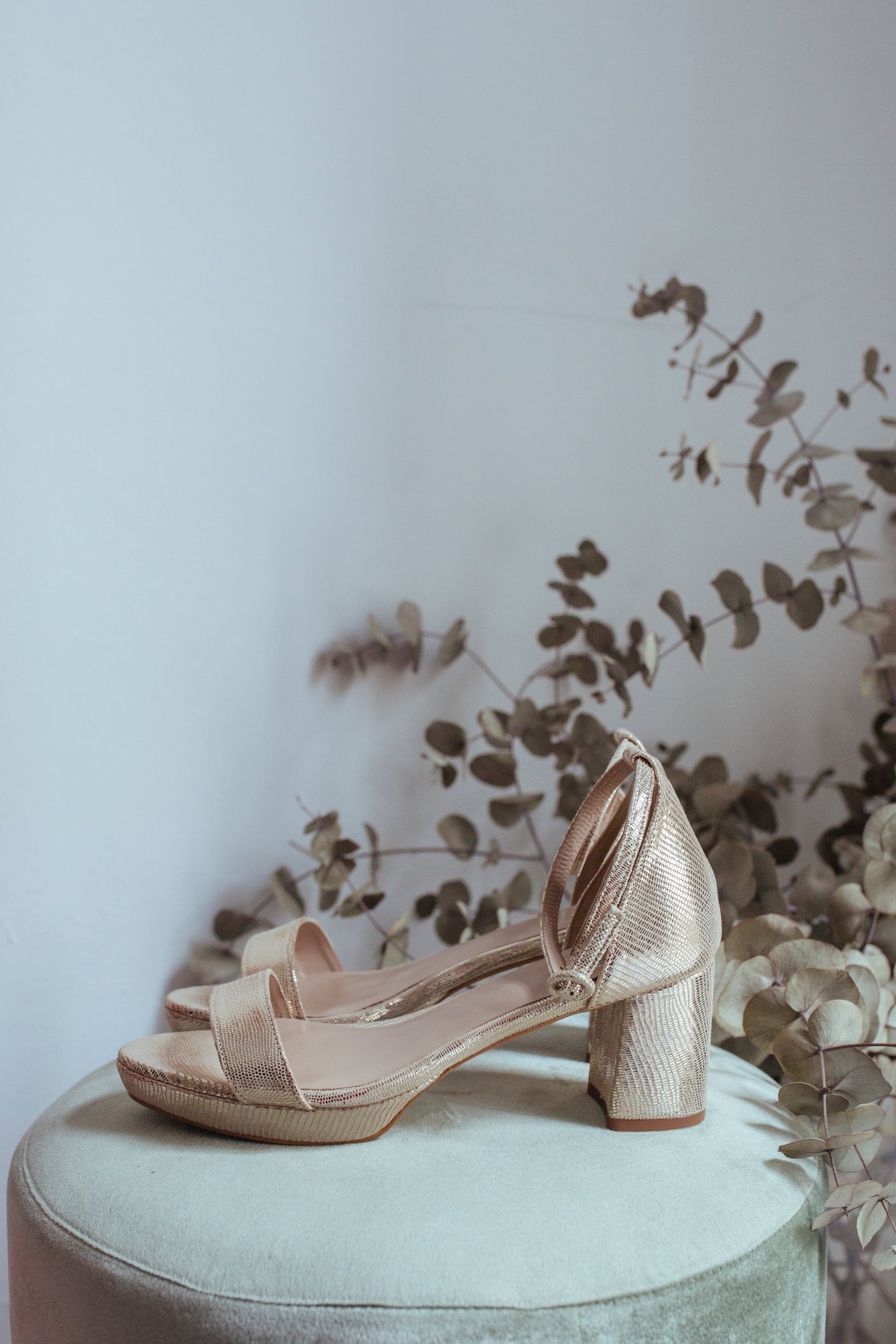 Alma Champán-Sandalia-Alma-Loovshoes
