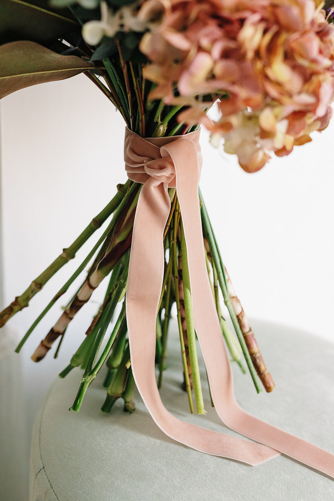 Cinta Ramo | Velvet Coral-Cinta de terciopelo-Loovshoes