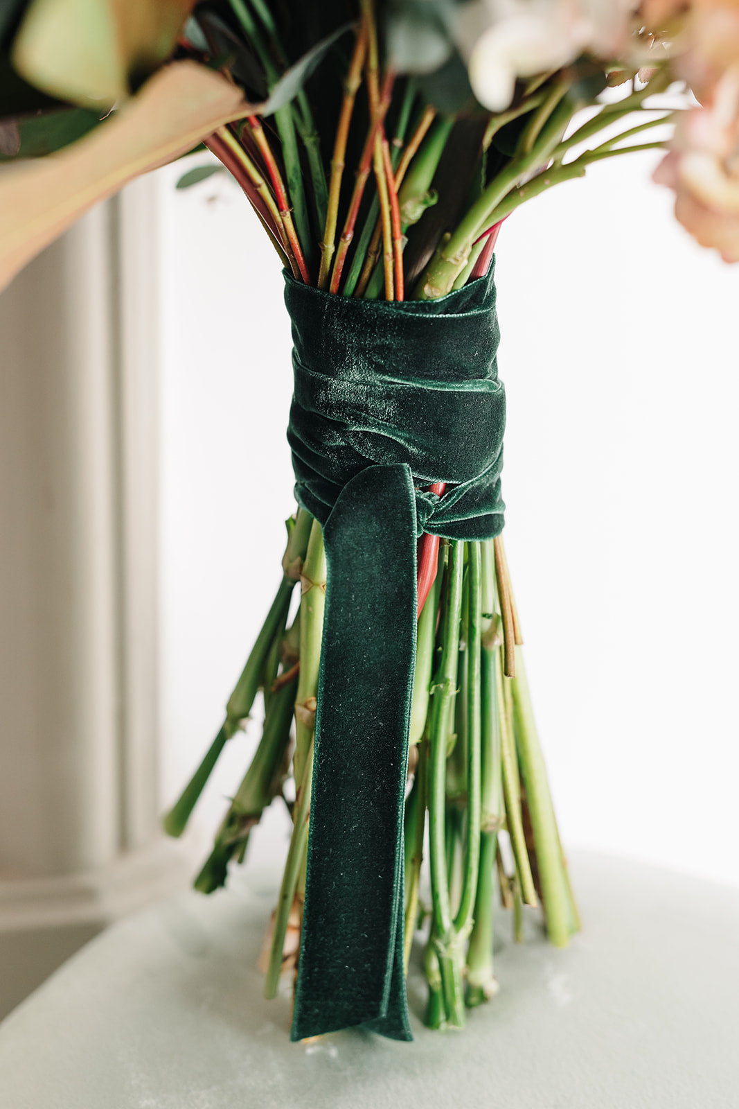 Cinta para ramo | Velvet verde-cinta de terciopelo, cintas para ramo, terciopelo verde-Loovshoes